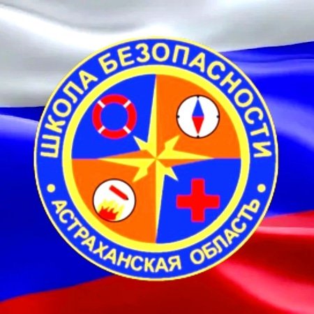 Organization logo Астраханское региональное отделение Всероссийского детско-юношеского общественного движения "Школа безопасности"